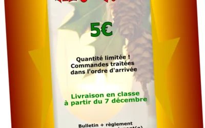 APE – Kit de Noël
