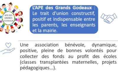 APE – Profession de foi